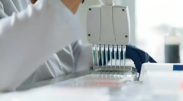 Analytische Exzellenz & Qualitätskontrolle